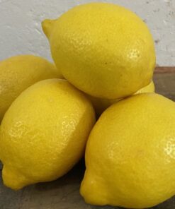 Limón Categoría Primera