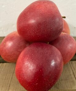 Manzana Royal Gala Categoría Primera
