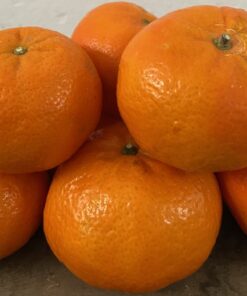Mandarina Categoría Primera