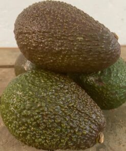 Aguacate Categoría Primera