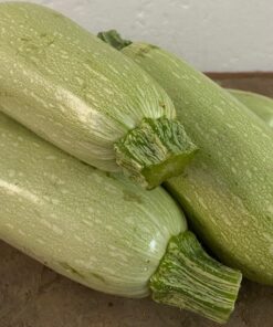 Calabacín Blanco Categoría Primera