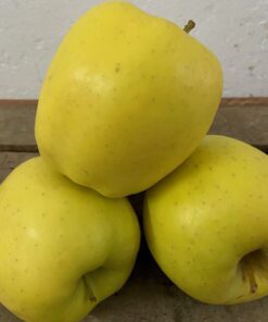 Manzana Golden Grande Categoría Extra