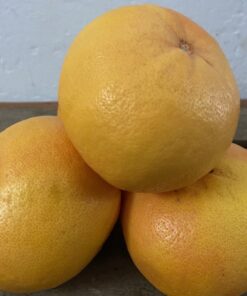 Pomelos Categoría Primera