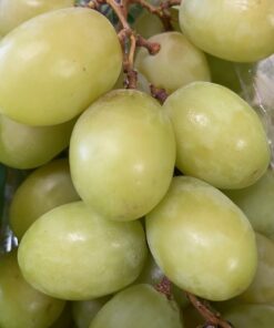 Uva Blanca Sin Pepita Categoría Extra