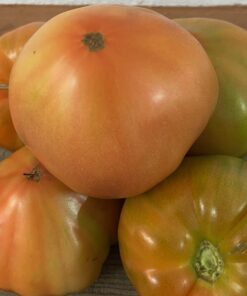 Tomate Valenciano Categoría Primera