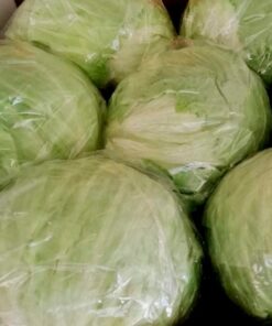 Lechuga Iceberg Categoría Primera