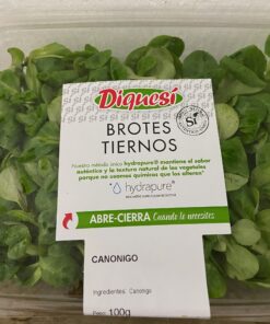 Canónigos Categoría Primera