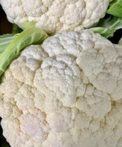 COLIFLOR