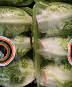 Cogollos de Lechuga Categoría Primera