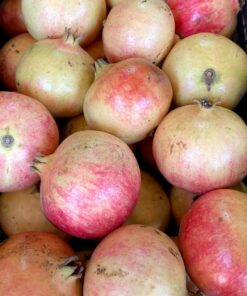 Granadas Categoría primera