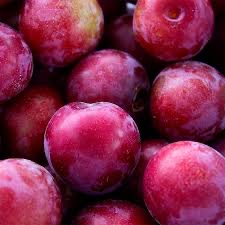 Ciruelo Rojo Categoría Primera